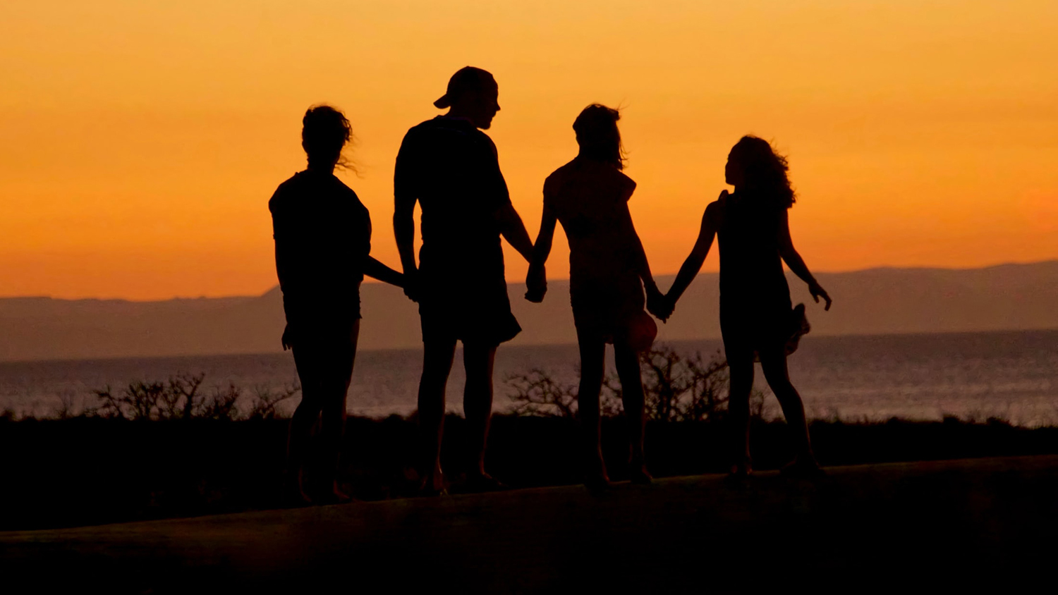 握手的一个家庭，剪影反对落日。