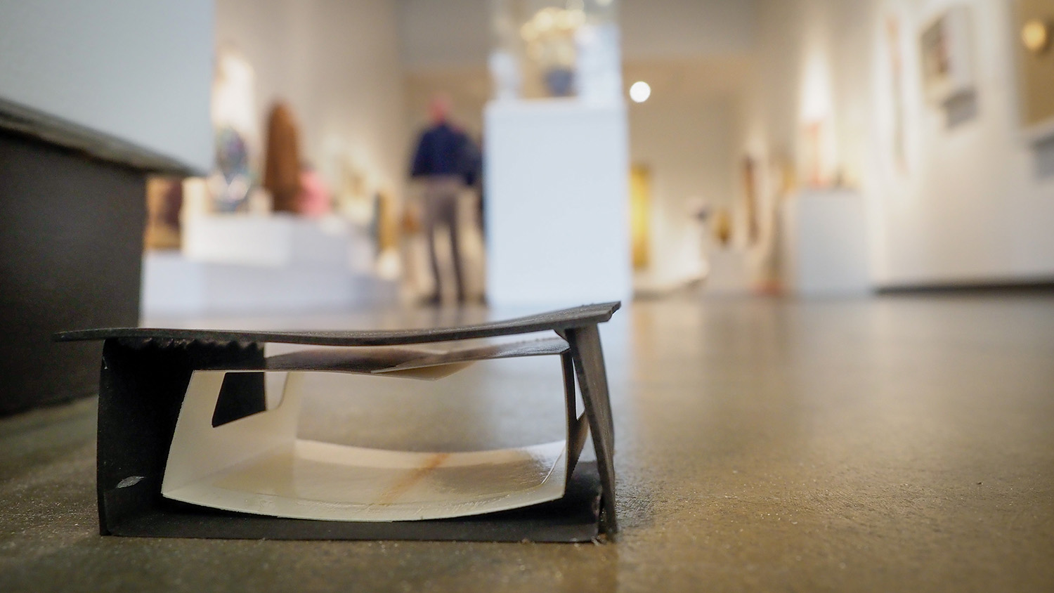 博物馆地板上的捕虫器特写。