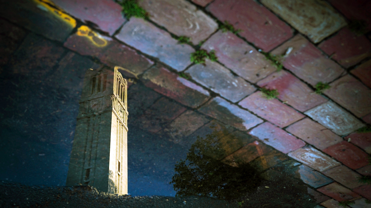 春雨过后，北卡罗莱纳州钟楼的倒影在一个雨水坑里。