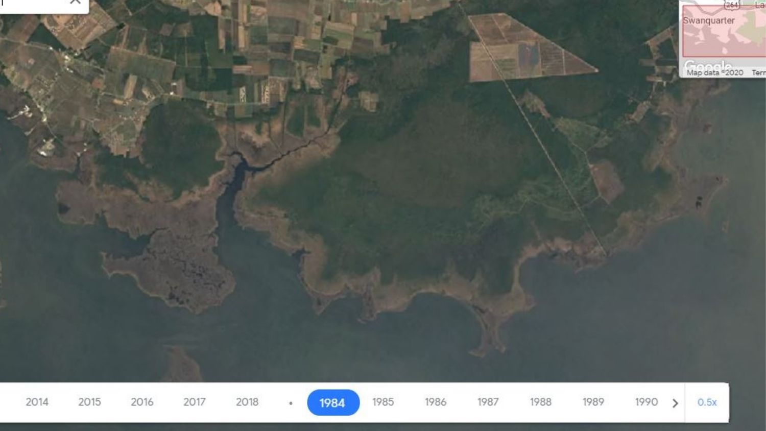 幽灵森林航拍照片。