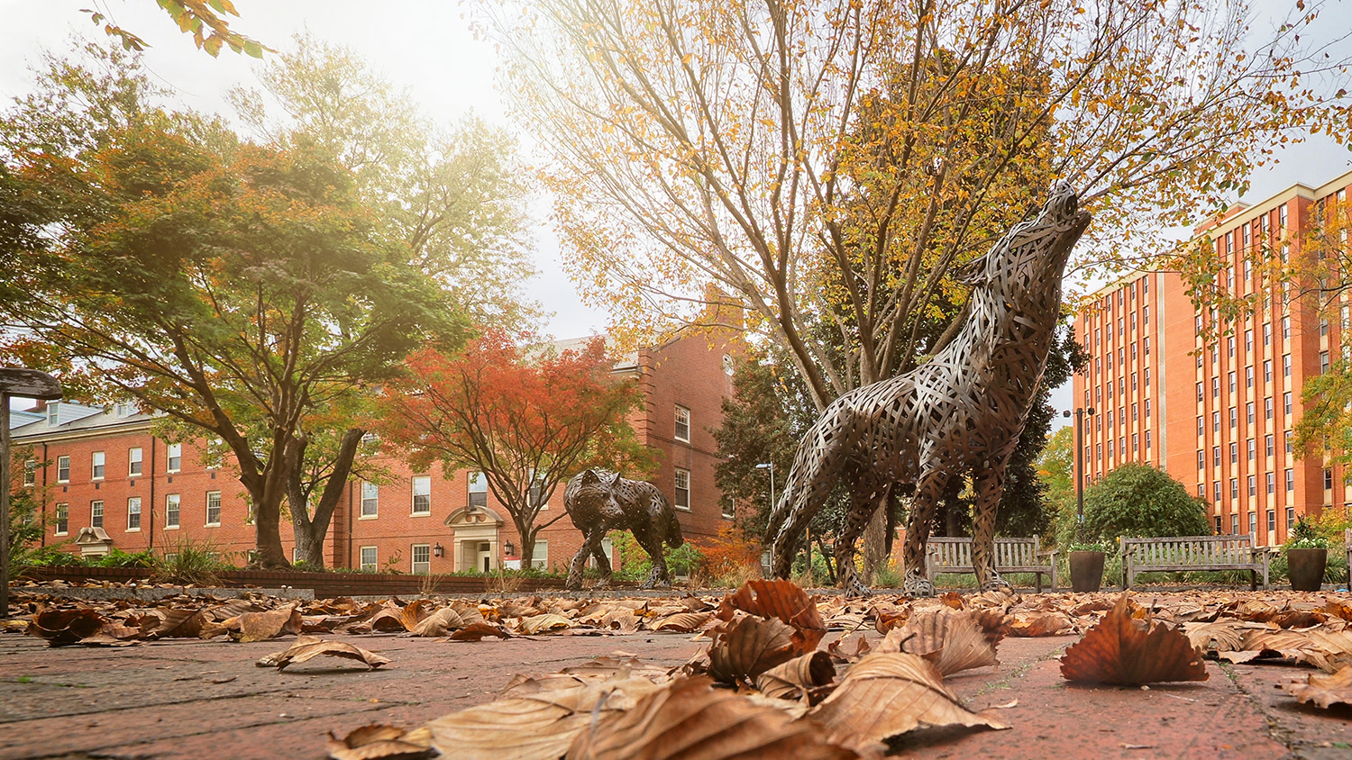学生们在主校区狼广场的铜狼旁享受秋天的一天。