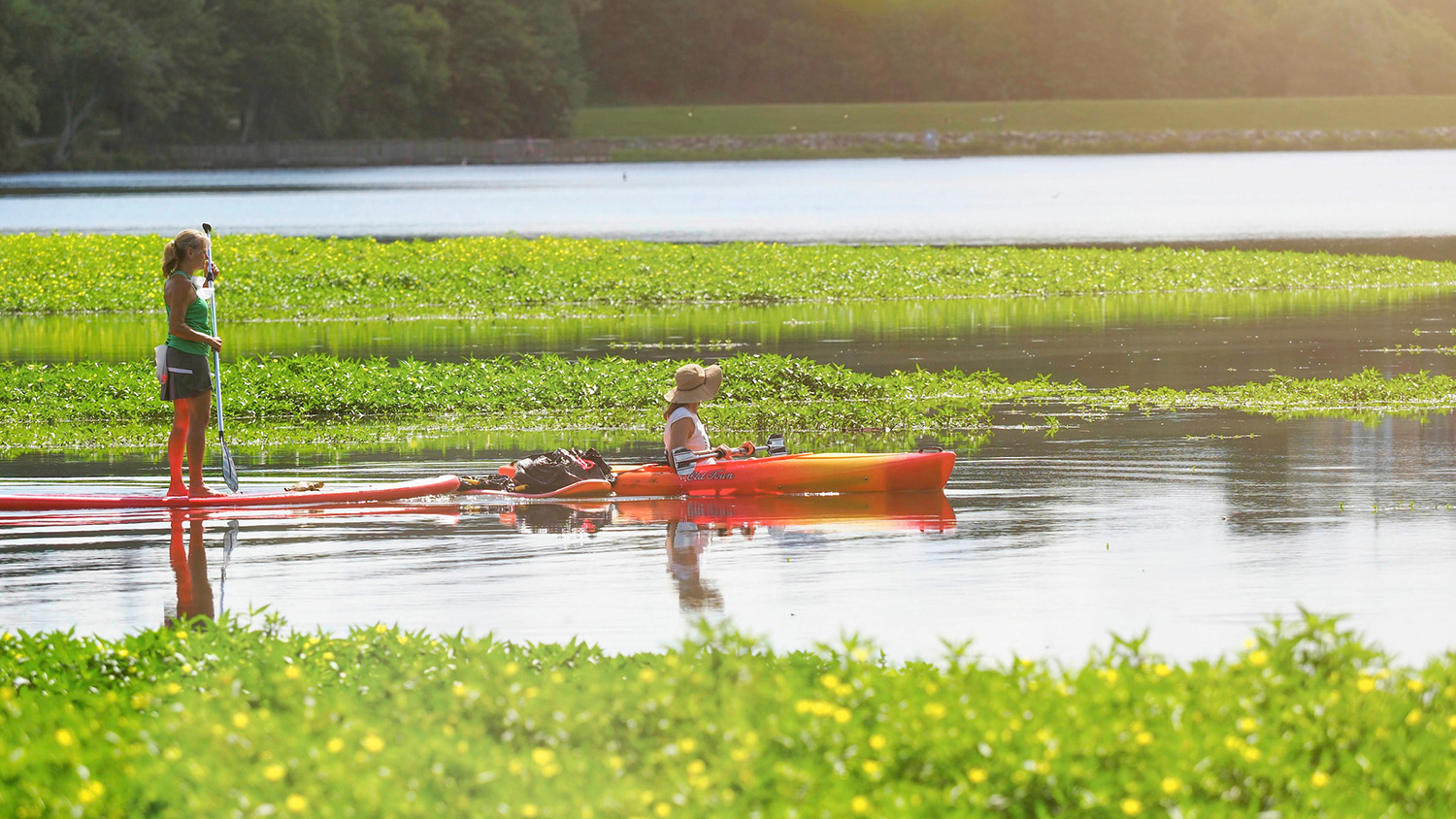 划罗利湖的两名妇女覆盖皮划艇。