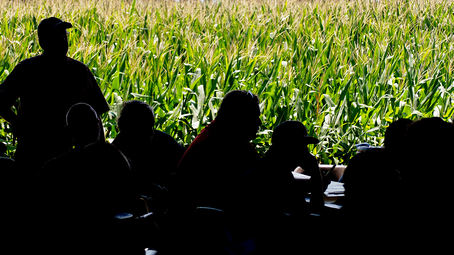 Photo of crops in background with farmers in foreground.