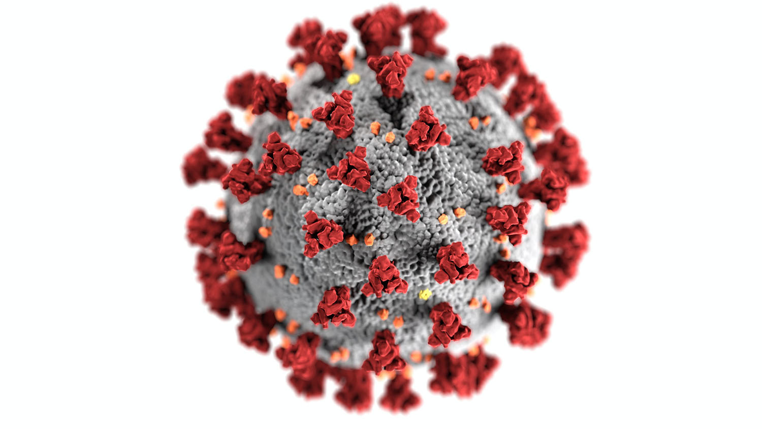 绘制SARS-COV-2病毒。