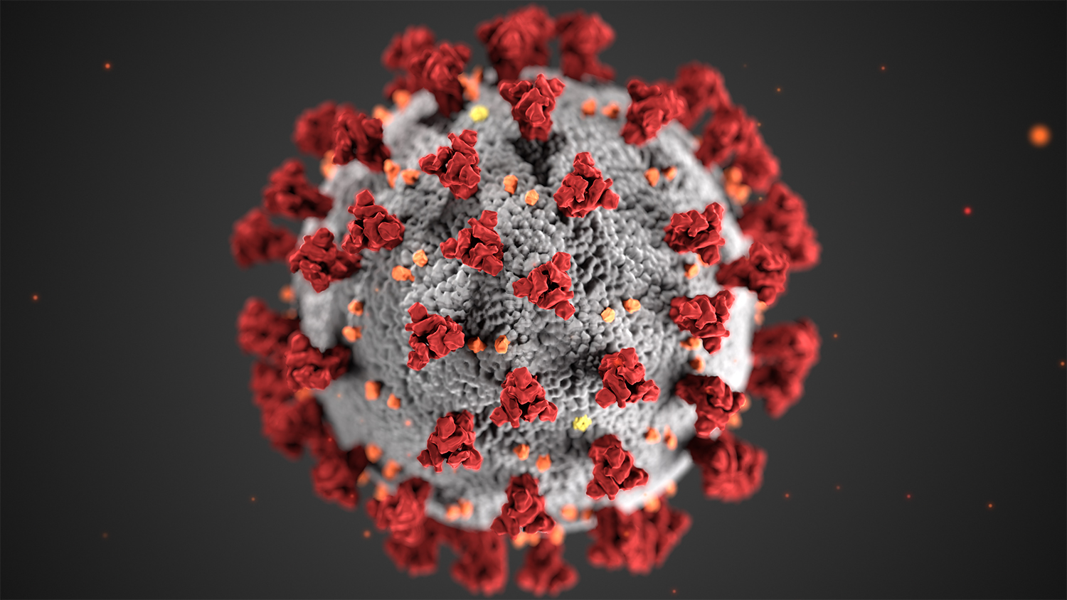 图示冠状病毒的超微结构形态。图片由疾控中心提供。