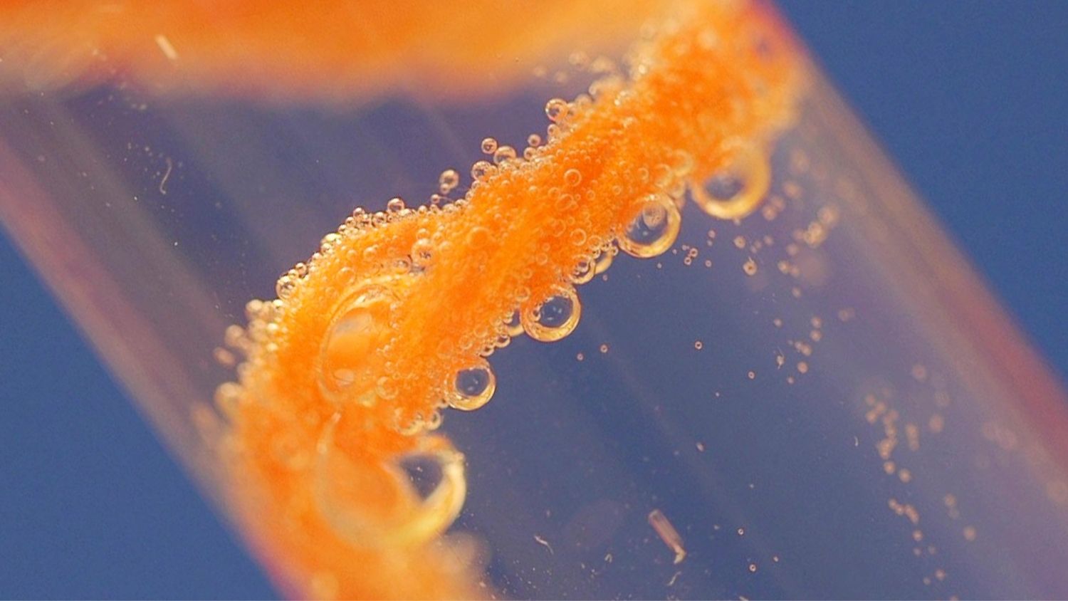 与氧气泡影的橙色生物催化纱