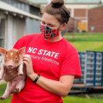 一名戴着口罩的妇女抱着一只小猪。