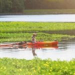 罗利湖的妇女皮划艇。