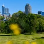 从多萝西娅·迪克斯公园(Dorothea Dix Park)看到的罗利天际线。