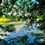 在晴朗的日子里，罗利湖的水景。