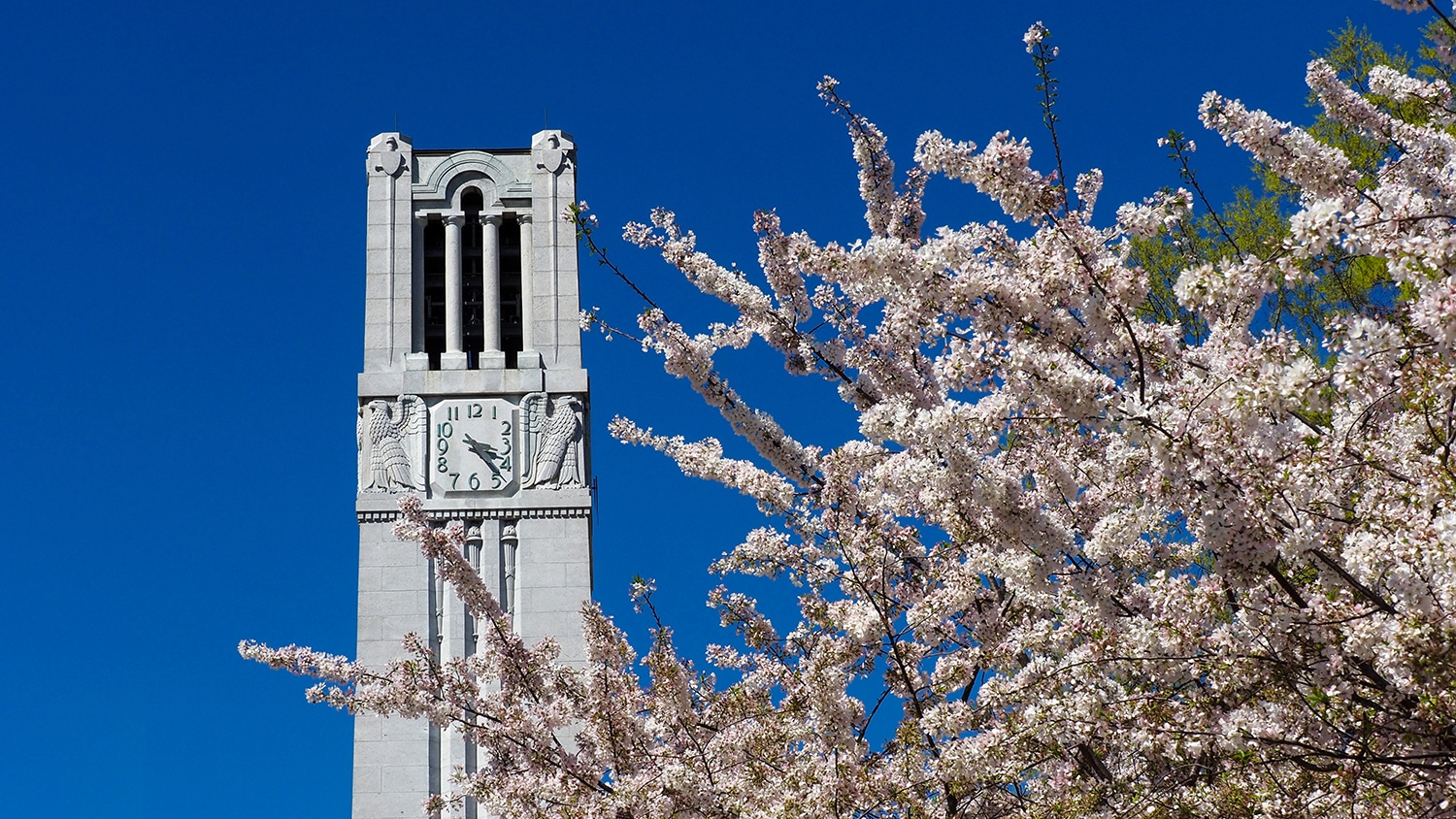 纪念Belltower