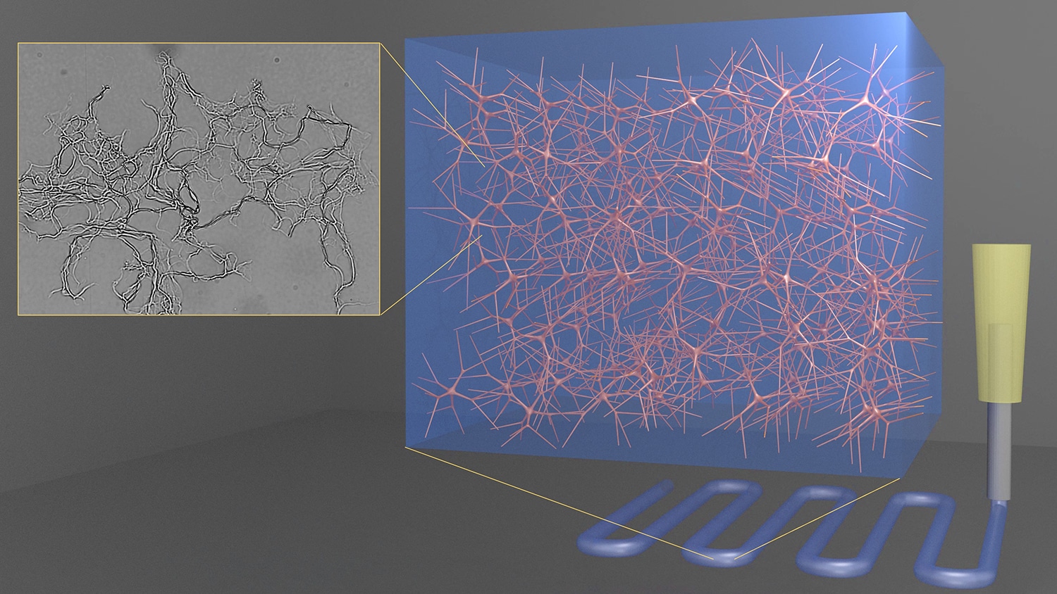 三维水凝胶图像