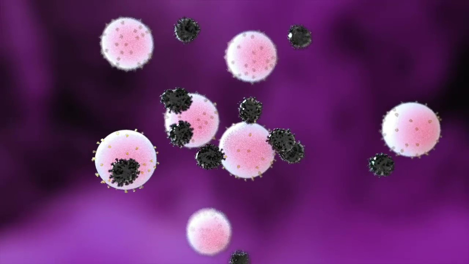 纳米诱饵与SARS-CoV-2病毒结合