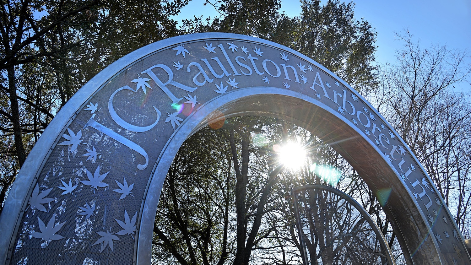 用日本枫叶装饰的罗尔斯顿植物园的银门。