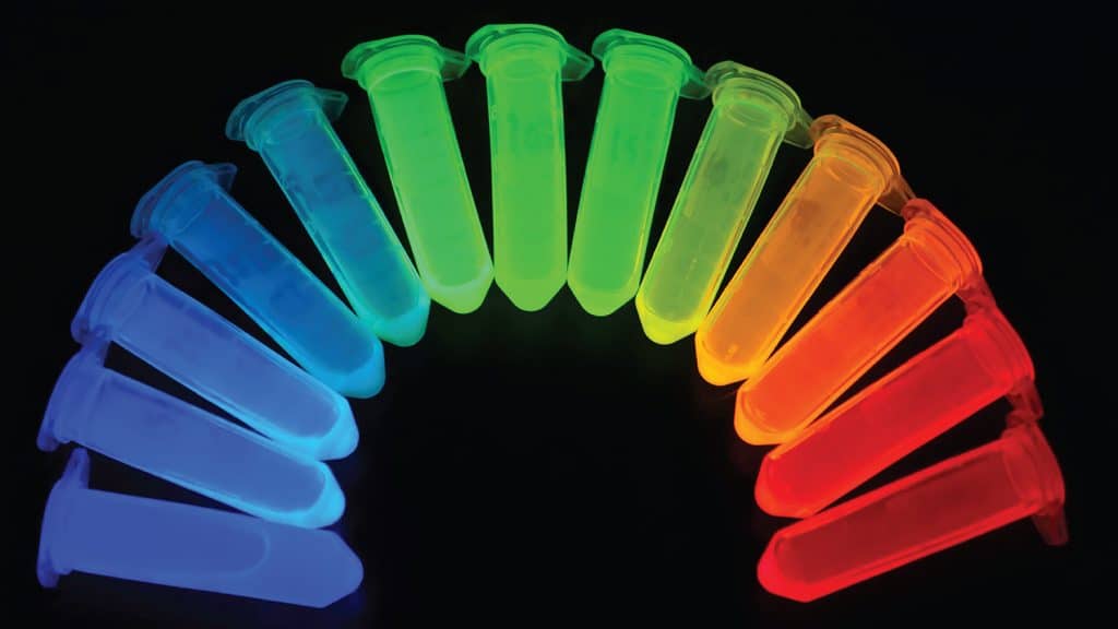 装有量子点墨水的试管横跨色谱，排列成彩虹的样子。