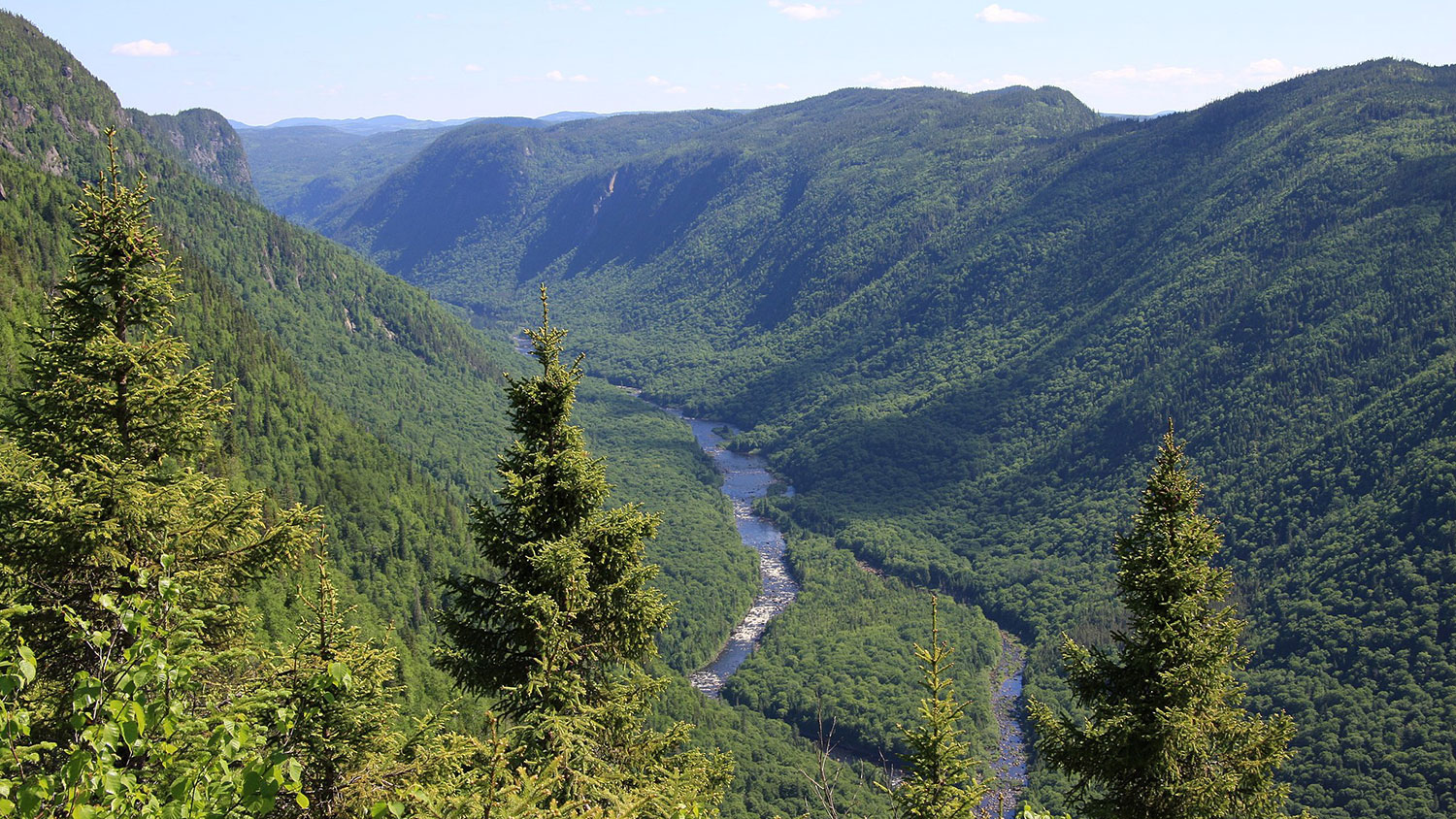 雅克-卡地亚河在加拿大Québec的雅克-卡地亚国家公园的森林山脊之间流淌。
