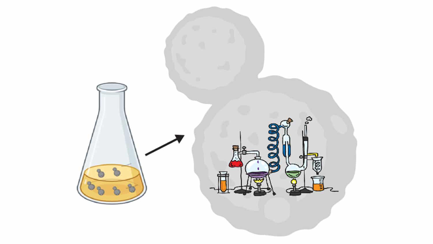 卡通描绘的酵母细胞在烧瓶，每个细胞包含一个化学实验室
