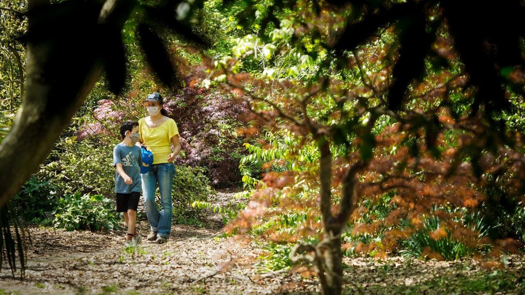 一名妇女和一名儿童走过JC Raulston植物园的花园