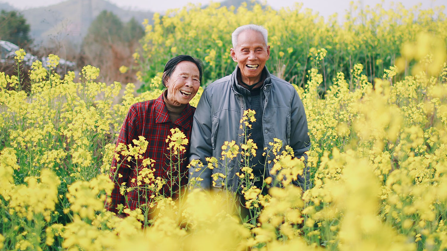 一个80多岁的男人和一个80多岁的女人在花丛中欢笑