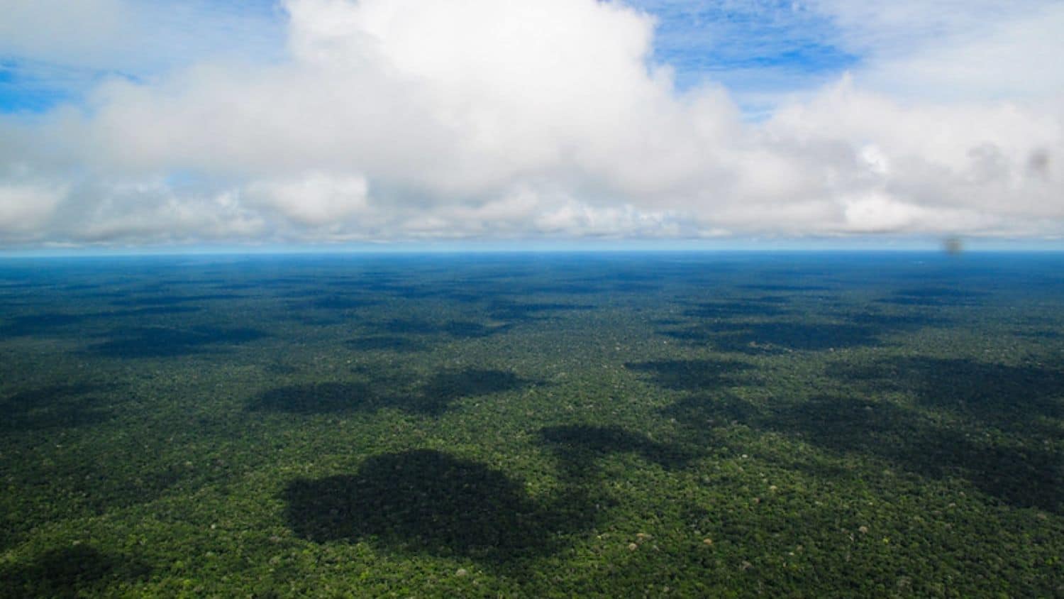 亚马逊雨林的鸟瞰图。
