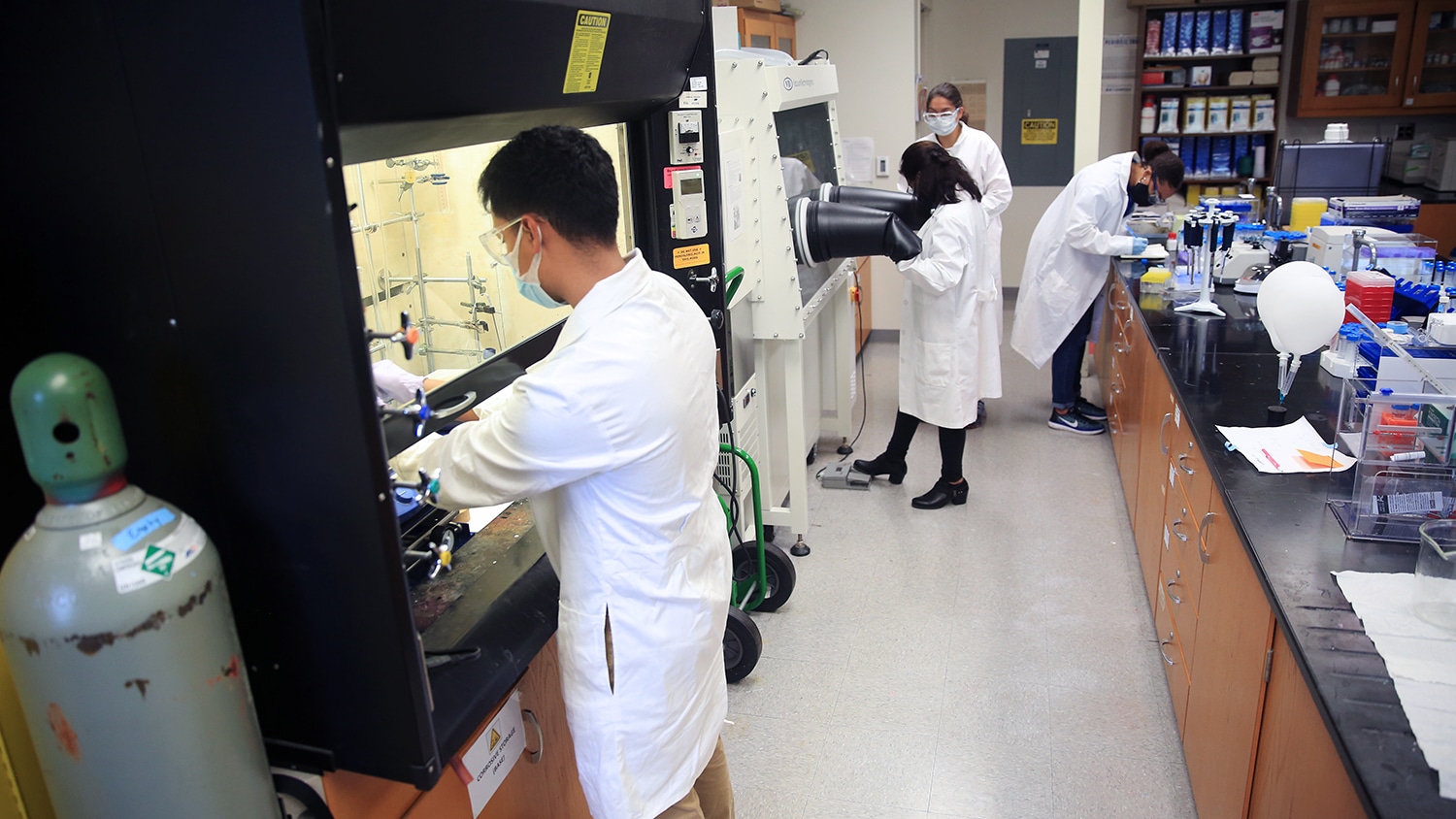 学生在实验室进行研究