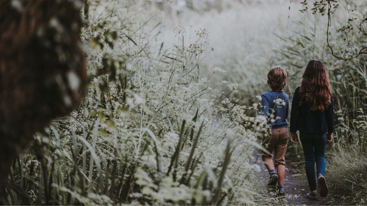 Children in nature