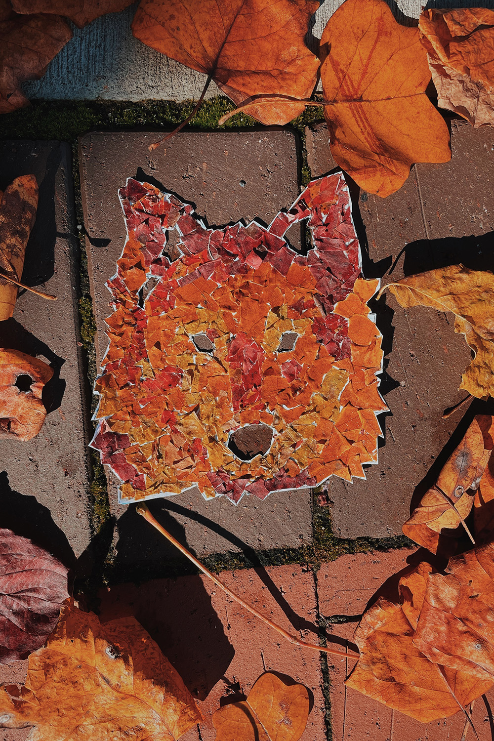 秋天的叶子被安排看起来像狼的头。