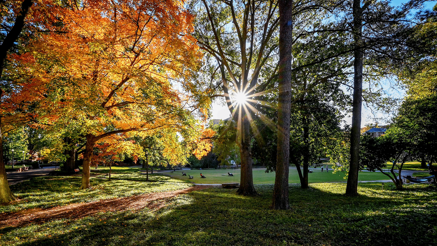秋天的一天，阳光透过树木照射在北卡罗来纳法院。