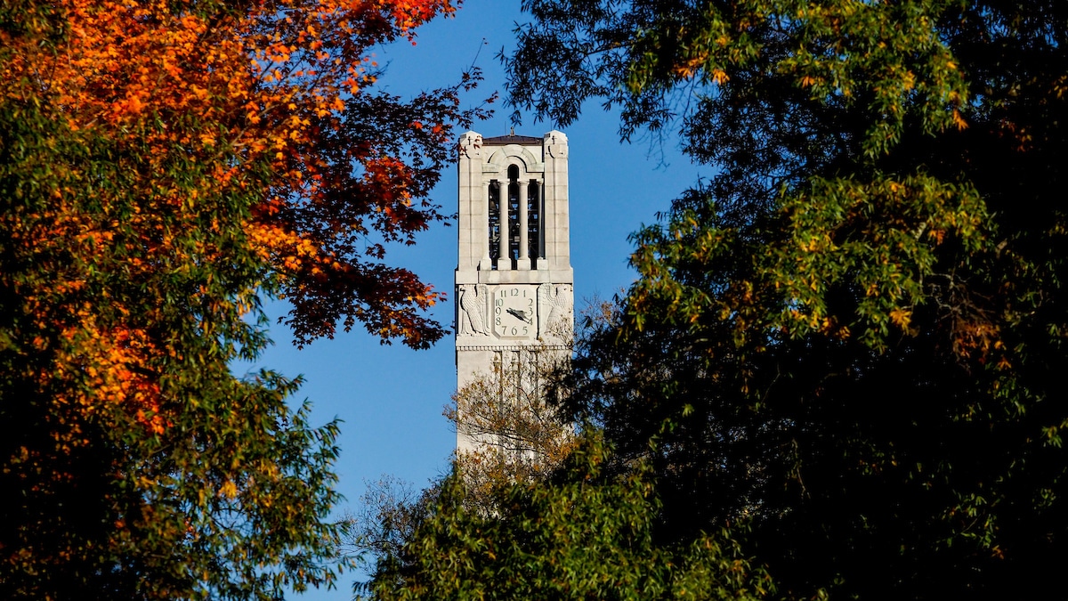 一个秋天的下午的钟楼。摄影:Becky Kirkland