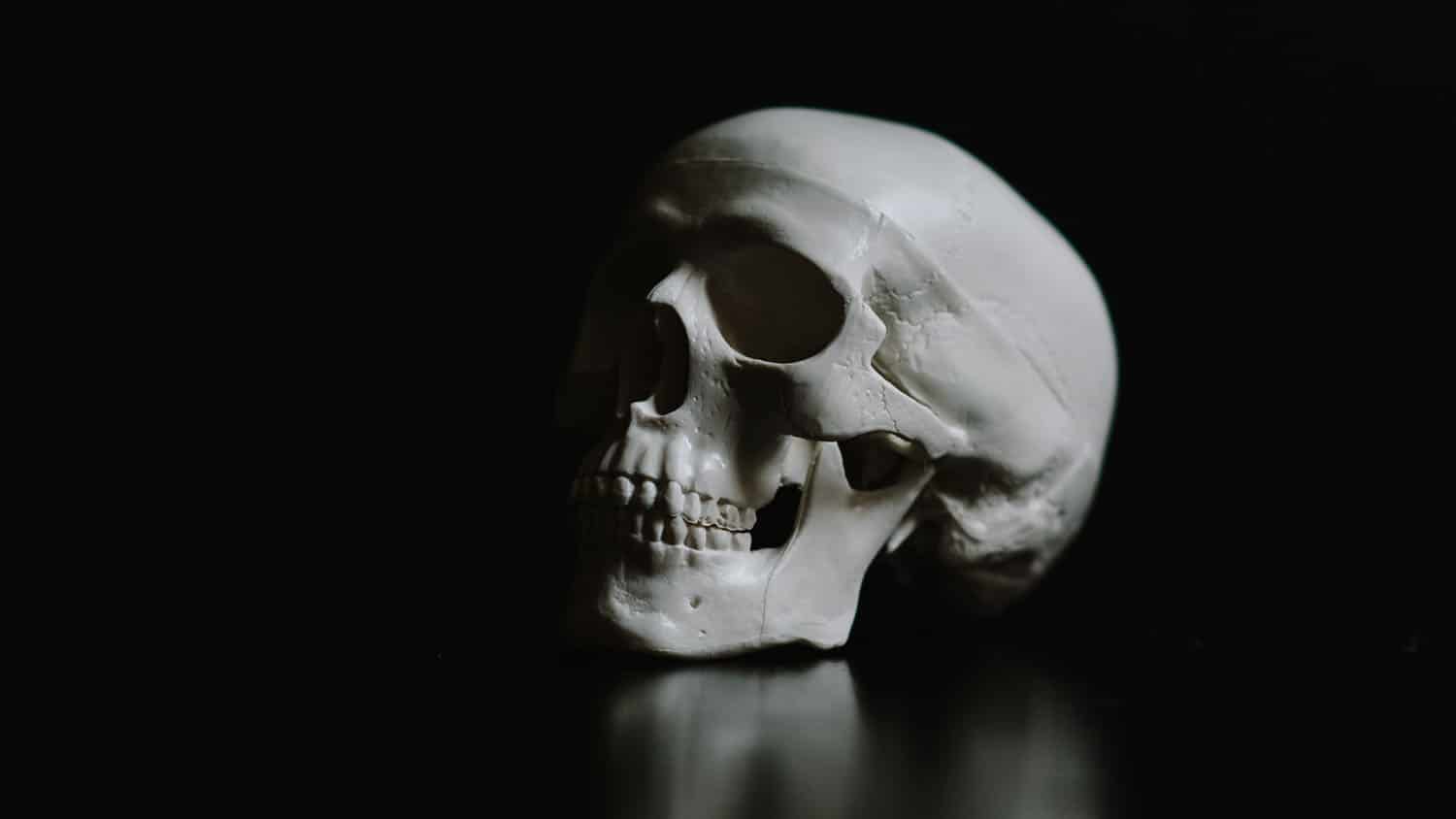 人类头骨位于黑色背景前面的光滑黑色表面上