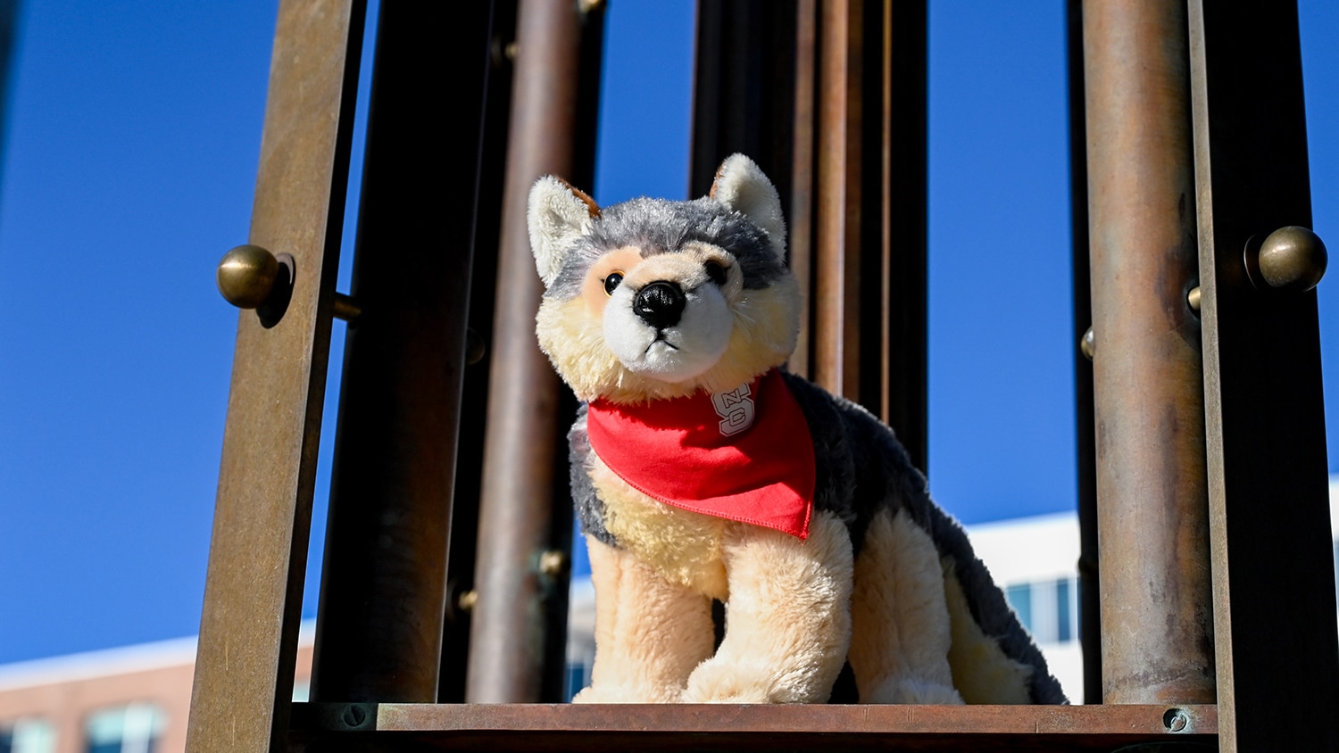 长毛绒狼与北卡罗来纳州大手帕