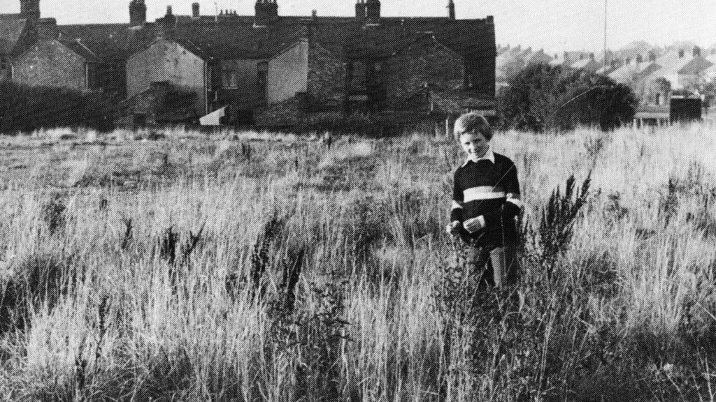 男孩在很多自然植物的包围。