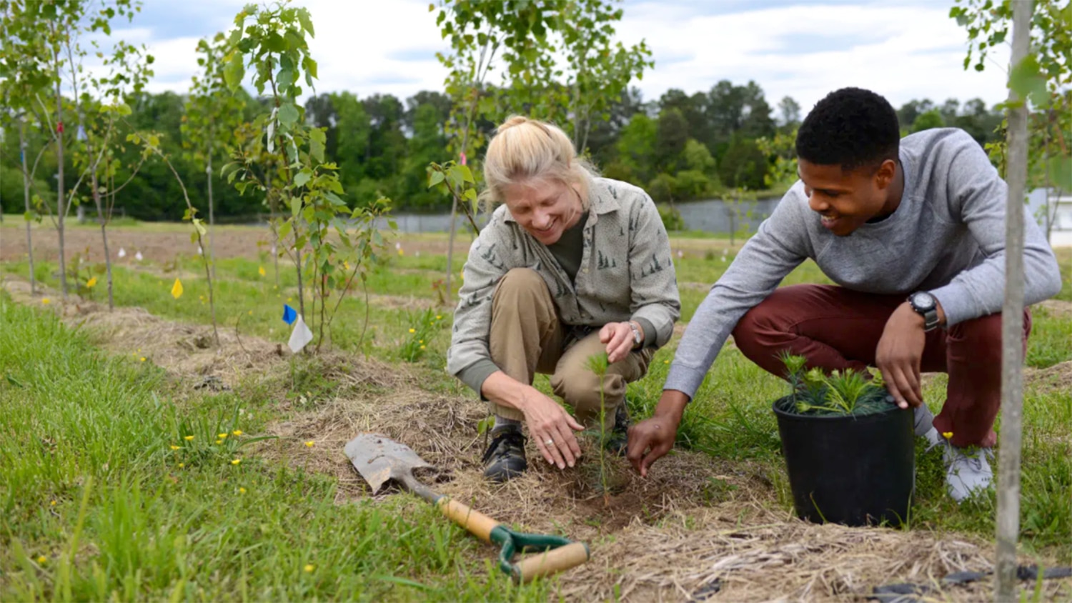 two people planting a crop in a row