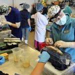 学生用鱼在背上的鱼操作。