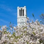 The North Carolina State University belltower, framed by flowering trees during spring.