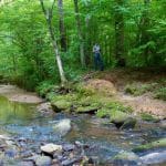 一个人走在申克森林的一条小溪旁