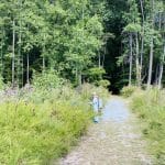 在申克森林里，一个全副武装的人正在使用除草剂。