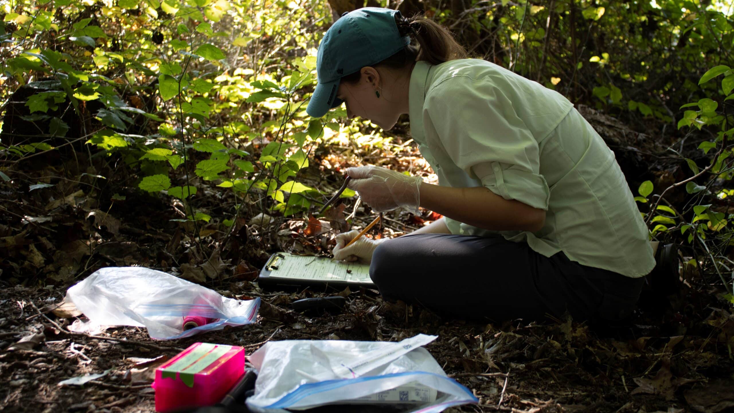 艾米莉·奥滕(Emily Oven)拿着一条蛇研究