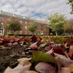 Fall leaves litter the open space between Turlington and Alexander residence halls on NC State's campus.