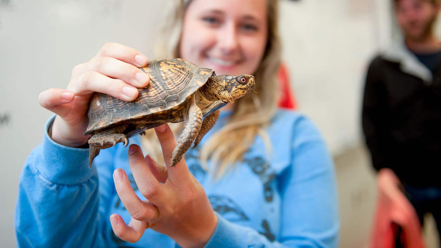 学生拿着一只乌龟靠近镜头;这只乌龟是绿黄相间的。