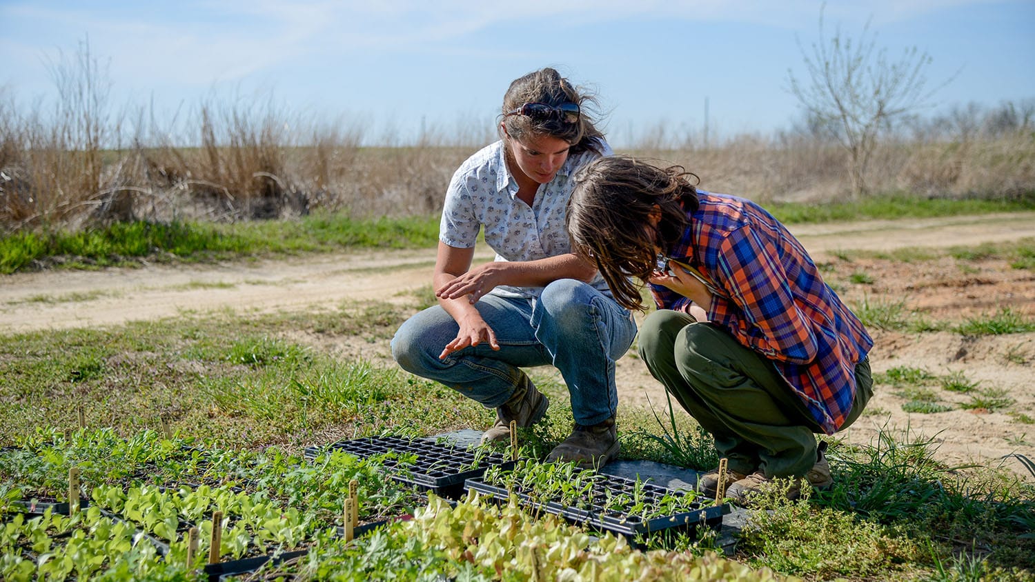 一位讲师在农业生态教育农场与一名学生一起工作。