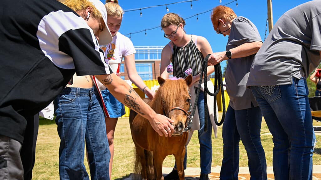 When they needed a break, students unwound with an event at The Corner that featured tiny horses, dogs and more.