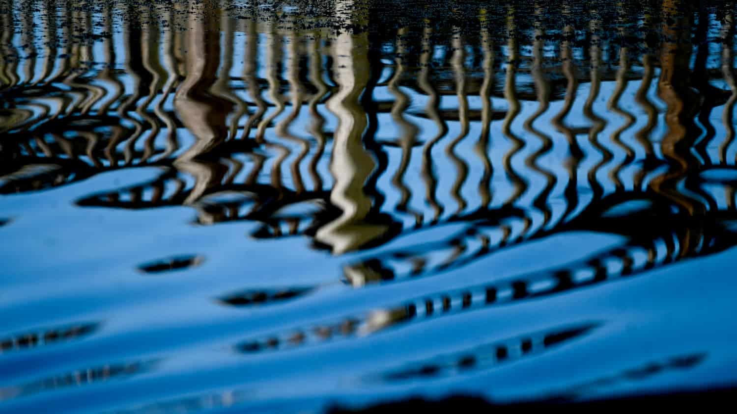 Dock reflections in the Lake Raleigh water on Centennial Campus.