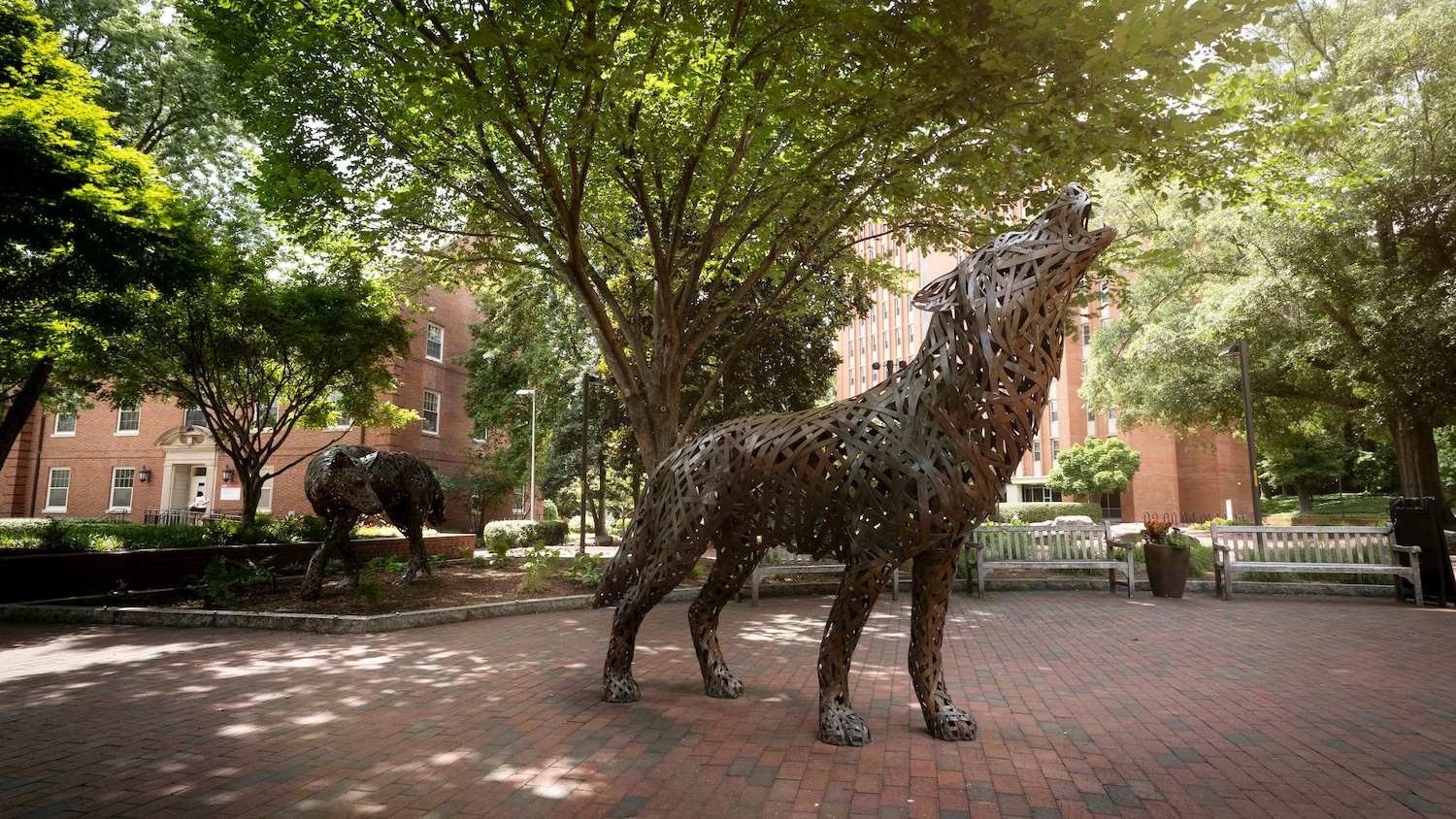 沃尔夫广场铜狼