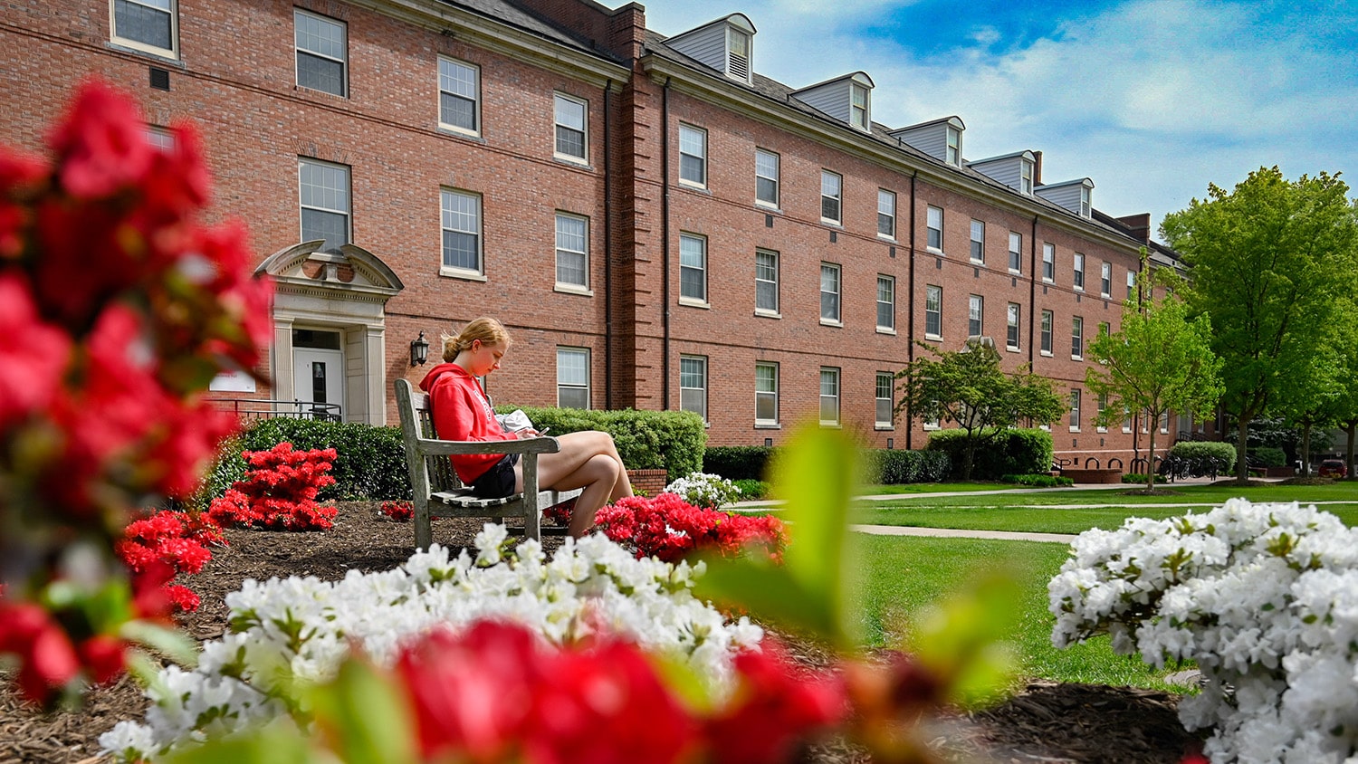A student sits and reads on a bench outside, surrounded by blooming azaleas.