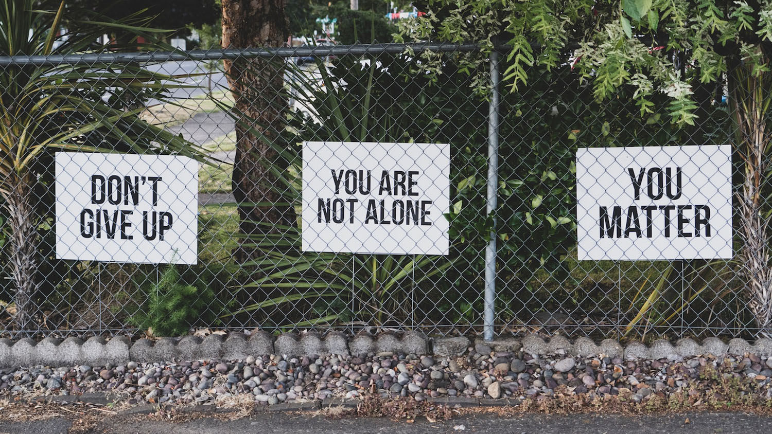 three signs are attached to a chain link fence. The signs read: 