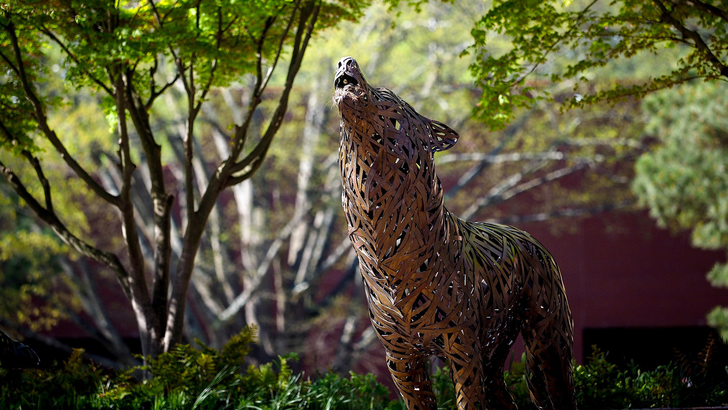 A copper wolf at Wolf Plaza