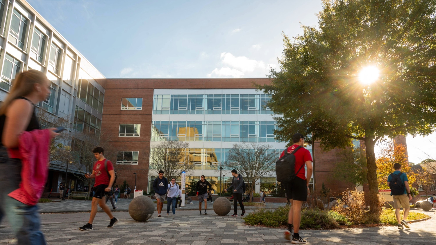 学生路由主校园SAS大厅